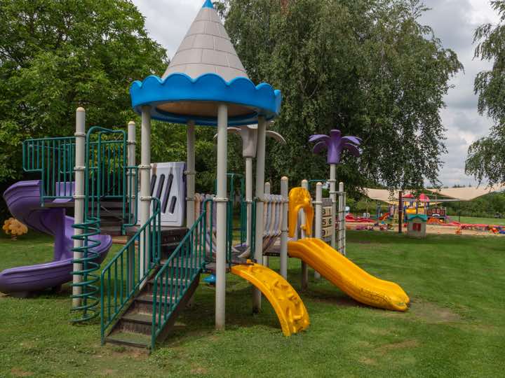 Zdjęcie 6305