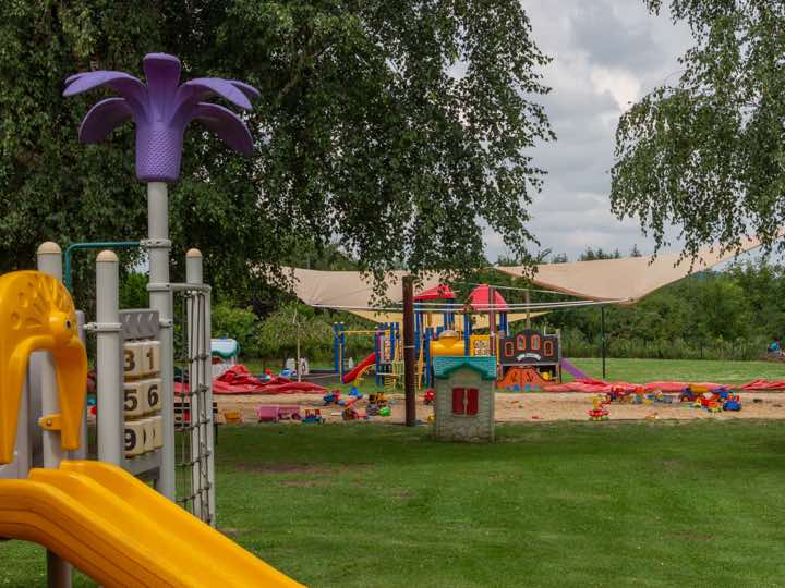 Zdjęcie 6306